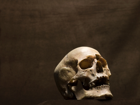 Human skull, studio shot